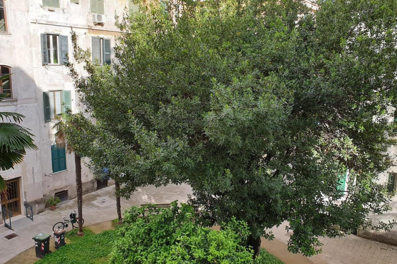 Casa Ferrari Testaccio E Trastevere Wi-Fi Free روما المظهر الخارجي الصورة